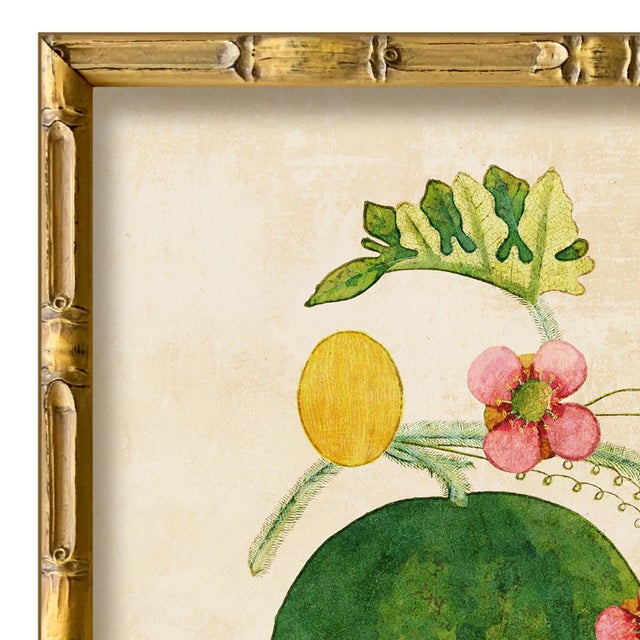 Various Artists Reproduction Giclee Print of Vintage Fruit & Flowers (6) Art Print, Framed For Sale - Image 4 of 6