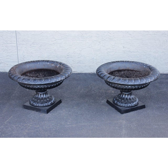 High Quality Cast Iron Garden Urn Planters Featuring A Classical Bowl Form With Fluted Pedestal Bases And Square Plinths....