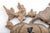 A vintage carved wooden panel with a central bat-like creature, floral scrollwork and a pair of oval medallions inscribed...