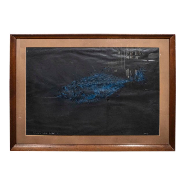 Vintage Post-War Gyotaku Fish Monoprint For Sale