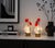 Vintage Rooster and Hen Lamps in Glass, 1980s, Set of 2, in Very Good conditions. Designed 1980 to 1989 European Plug (up...