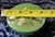 Chinese Vintage Chinese Green Cloisonné Covered Bowl With Blossom Motif For Sale - Image 3 of 5