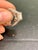 1 Ct Brilliant Round Center Diamond, 2 Ct 14 Karat White Gold Engagement Ring For Sale In New York - Image 6 of 8