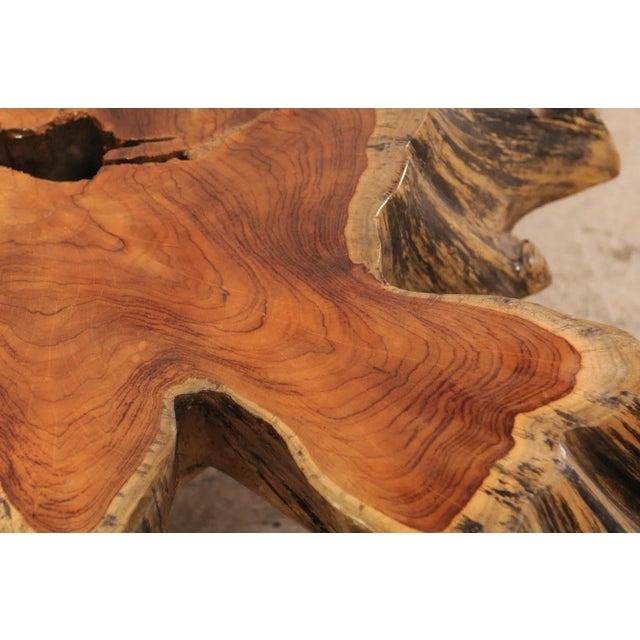Mid 19th Century Organic Modern Tree Root Coffee Table For Sale - Image 9 of 12