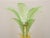 Green Italian Palma Lamp in Murano Glass, Italy, 1970s For Sale - Image 8 of 12