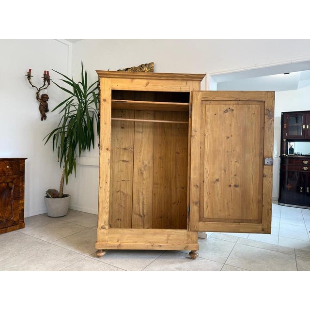 Biedermeier Cabinet in Natural Wood For Sale - Image 4 of 11