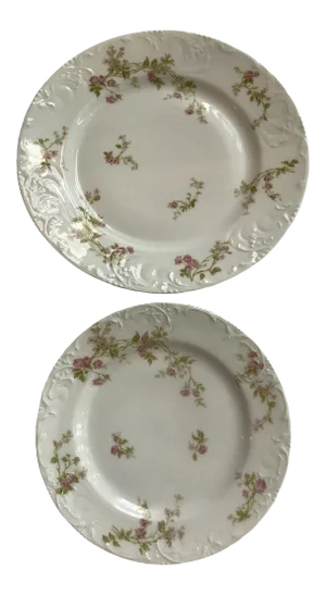 Mid-Century Limoges Plates - a Pair