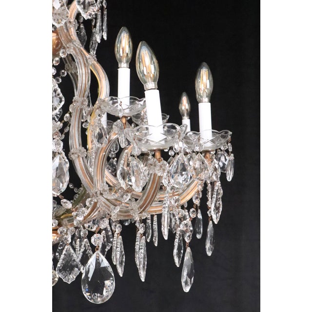 Early 20th Century Restored Large Scale Marie Therese Crystal Chandelier For Sale In New York - Image 6 of 11