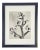 Framed Vintage Botanical Blossfeldt Print - No. 3 For Sale