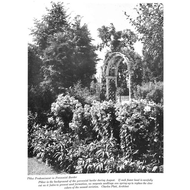 White "The House Beautiful Gardening Manual" 1926 Steele, Fletcher For Sale - Image 8 of 9