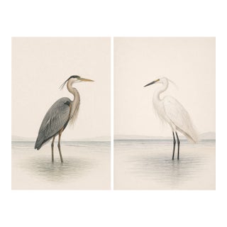 Coastal Heron & Egret Diptych, Neutral Shorebird Art Print Set, 20" X 30" For Sale