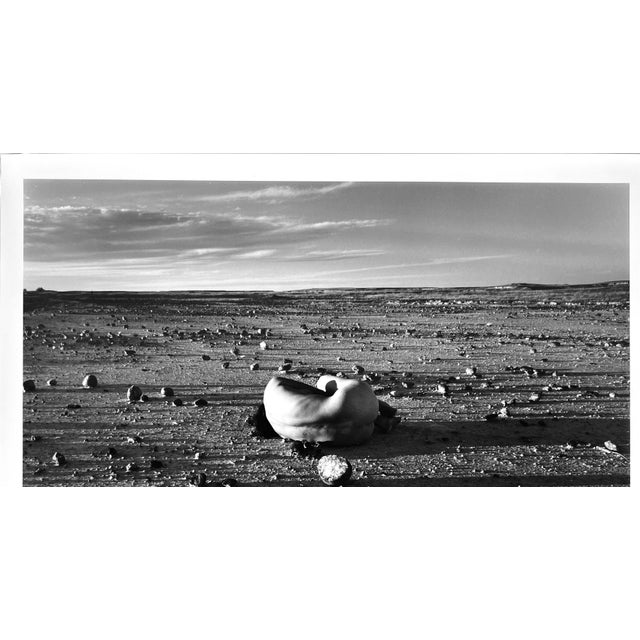 Modern Judy Dater Self - Portrait With Stone Badlands South Dakota - Photograph 1981 by Judy Dater For Sale - Image 3 of 8