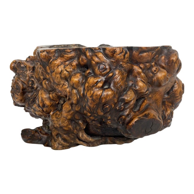 Late 19th Century Hibachi Tree Root For Sale