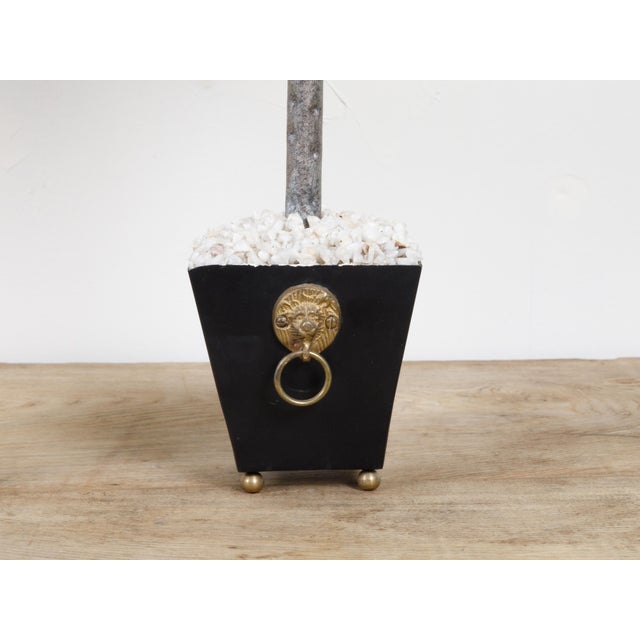 Mid-Century Modern Pair of French Midcentury Palm Tree Sculptures in Black Tapering Pots For Sale - Image 3 of 10
