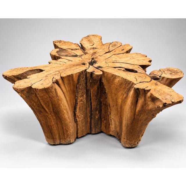 1960s Cypress Tree Trunk Table Base For Sale - Image 4 of 8