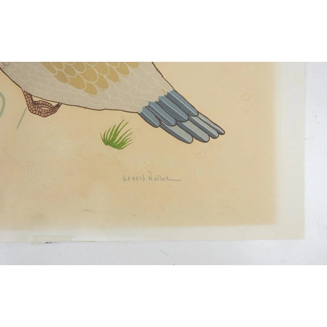 Vintage circa 1950's serigraph on paper of quail by Gerald Nailor,(Diné [Navajo], (1917 - 1952). Signed in print lower...