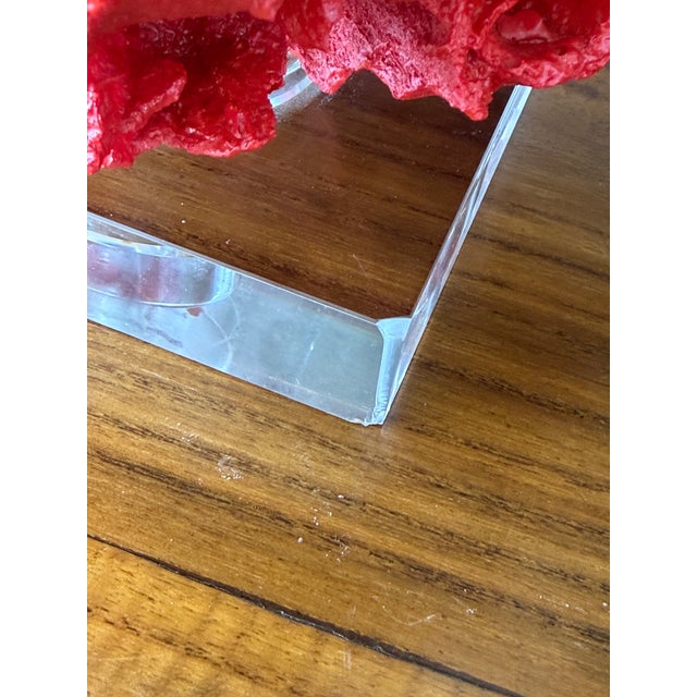 Red Pair of Red Faux Coral Table Lamps on Clear Acrylic Bases For Sale - Image 8 of 12
