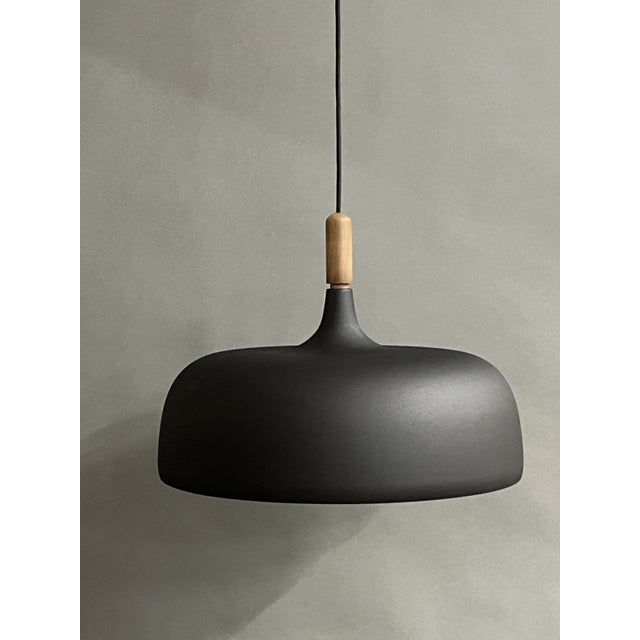 Acorn Pendant from Northern, 2010s For Sale - Image 6 of 6