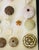 Contemporary 1970s Natures Beauty Sea Shell Collection For Sale - Image 3 of 6