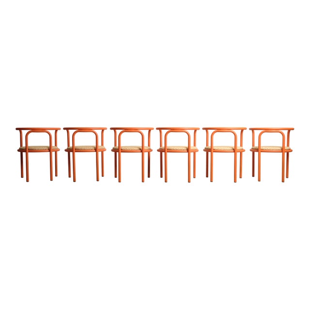 Orange Locus Solus Armchairs by Gae Aulenti for Poltronova, Italy, 1967, Set of 6 For Sale - Image 9 of 18