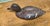 1900 - 1909 19th Century Painted and Carved Duck For Sale - Image 5 of 7