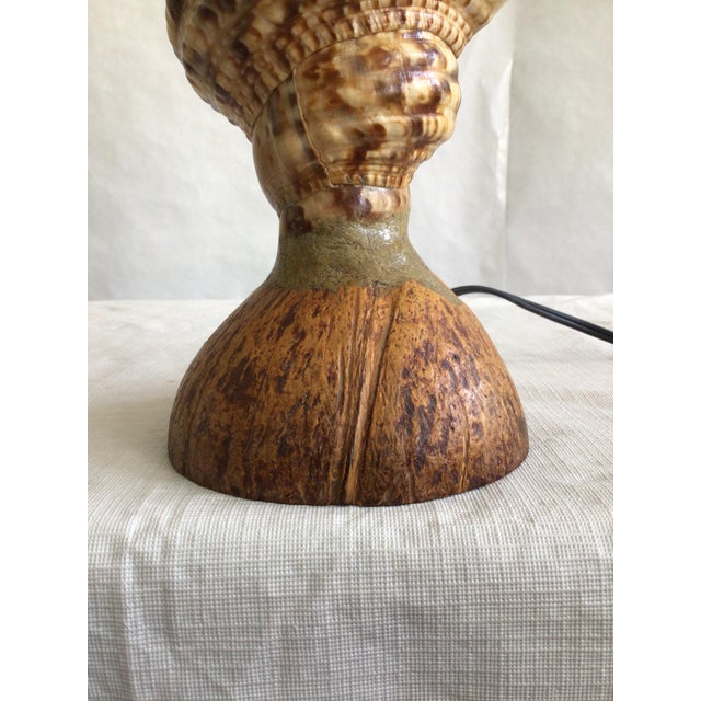 1940s Triton Conch Shell Lamp On Coconut Base For Sale - Image 9 of 10