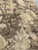 Antique French Aubusson Jacquard Tapestry Panel, 1920s For Sale - Image 6 of 18