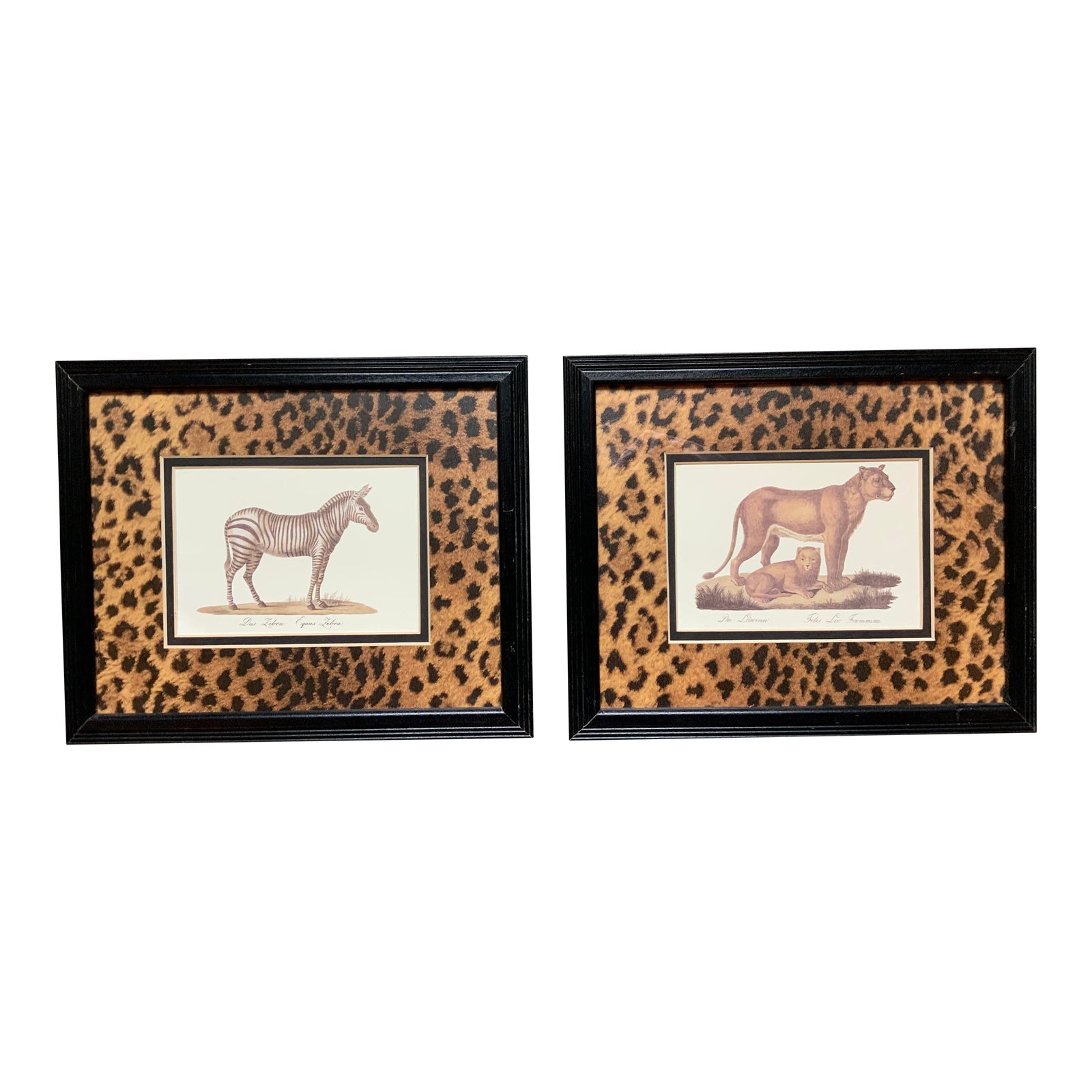 Framed Animal Prints a Pair Chairish