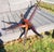 1900s Antique Hunzinger Mahogany Hat & Coat Rack Hall Tree For Sale - Image 15 of 15