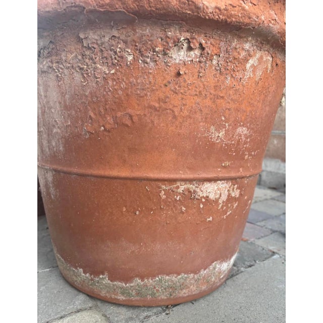 Large Vintage Italian Style Terracotta Garden Planter With Aged Patina For Sale - Image 9 of 10