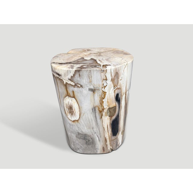 Contemporary Andrianna Shamaris Ancient Petrified Wood Side Table For Sale - Image 3 of 5