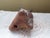 Antique Pre-Columbian Chimu Bird Whistle From Peru For Sale In Columbia, SC - Image 6 of 7