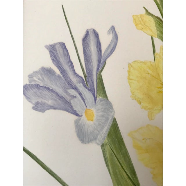 Vintage Original Watercolor Flowers Iris and Gladiolas Janet Delonga For Sale In New York - Image 6 of 8