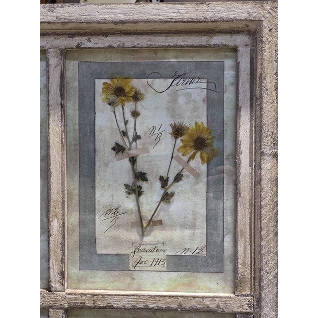 Decorative Panel with Framed Botanical Composition, 1920s For Sale - Image 6 of 14