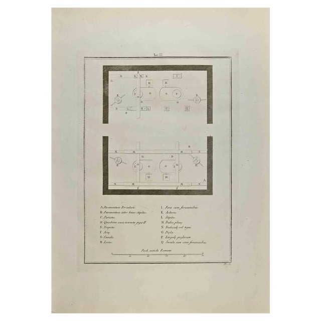 Nicola Fiorillo, Map, Etching, 18th Century For Sale