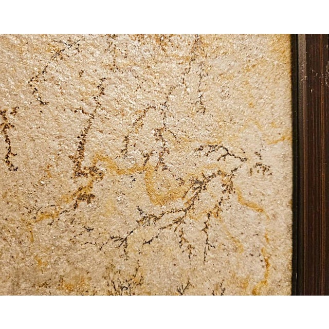 Antique Brazilian Sandstone Framed Plaque Dendrite Fossil Ferns Miniature Geologic Fern For Sale - Image 11 of 14