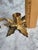Brass Vintage Solid Brass Poinsettia Candlestick Holders For Sale - Image 8 of 10