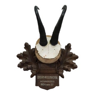 Large Chamois Trophy on Carved Plaque, Austria 1954 For Sale