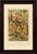 Wall lizards – antique reptile natural history print by p.j. Smit, 1895 this attractive antique natural history print...