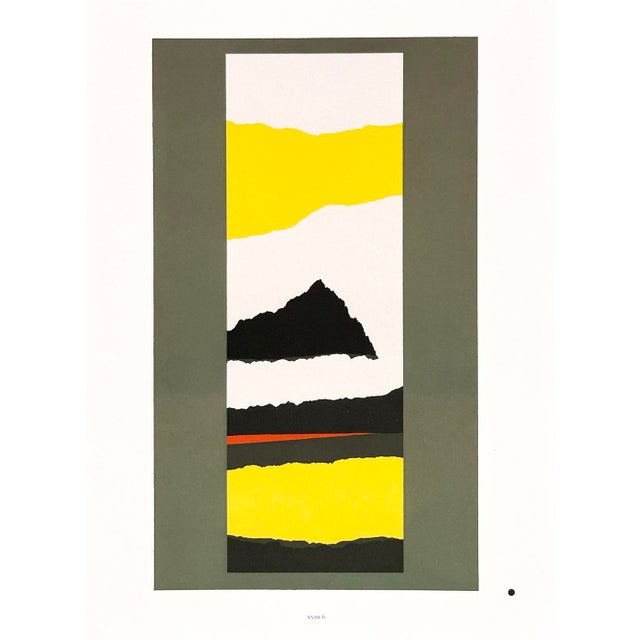 Josef Albers 2009 the Interaction of Color Plate Xviii-6 For Sale