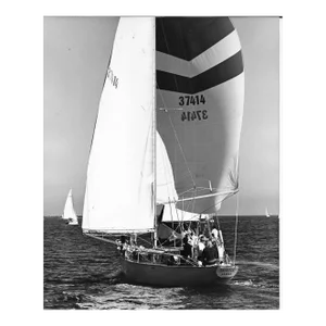 1974 Sailboat Off the California Coast by Don Ware