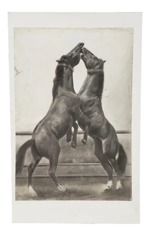 "The Challenger" Original Charcoal on Paper Mid 20th Century