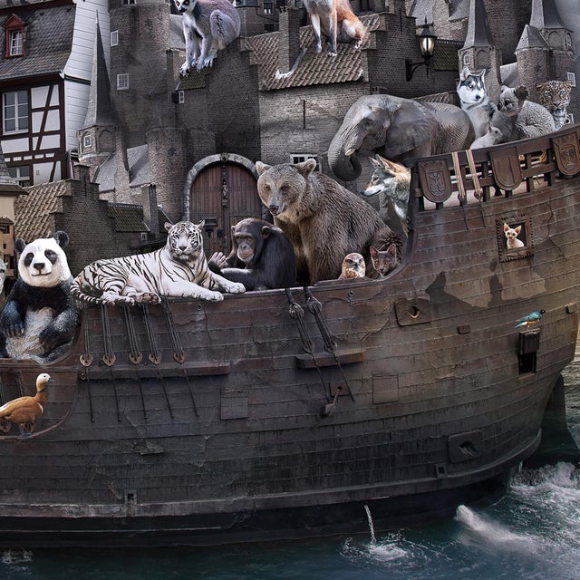 2010s Ark by Marcin Owczarek | Photography - Dye Sublimation on Aluminum of a ship filled with animals For Sale - Image 5 of 5