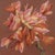This artwork presents a cluster of vibrant flowers, rendered in soft, delicate hues of pink and orange that evoke a sense...