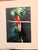 Forest Green Michael Fogden Signed “Resplendent Quetzal” Costa Rica Wildlife Photograph, 11” × 14” Matted For Sale - Image 8 of 11