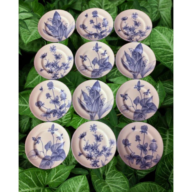 Fabulous nature collection design series of various botanical patterns. Blue & White 3 of each design total of 12 plates...