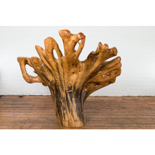 Rustic Vintage Chinese Camphor Wood Tree Root Armchair with Light Varnish For Sale - Image 4 of 12
