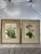 Floral Prints in Light Wood Frame a Pair For Sale - Image 13 of 13