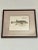 Vintage Framed Marcus Elieser Bloch Hand Colored Tetrodon Honckenu, Puffer Fish For Sale - Image 9 of 9