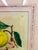 Vintage Framed “Limon Sbardonius” Lemon Citrus Botanical Print After Giovanni Battista Ferrari For Sale In Raleigh - Image 6 of 11